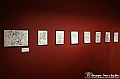VBS_7997 - Mostra Carlo Carosso. Dioniso e Orfeo Poesia e colori del mito